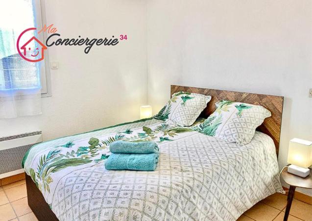 Beaux Arts T3 Duplex, Renove Lumineux + Garage Apartment Montpellier Luaran gambar